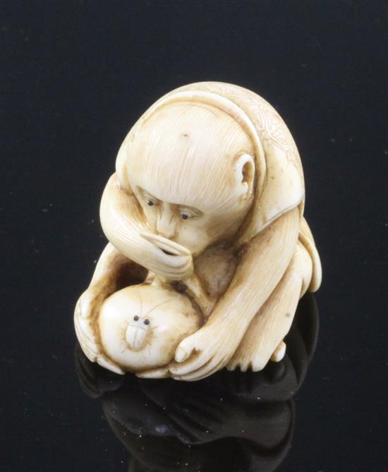 A Japanese ivory netsuke of a monkey viewing an insect through a magnifying glass, signed Masatami, Edo period, 3.6cm